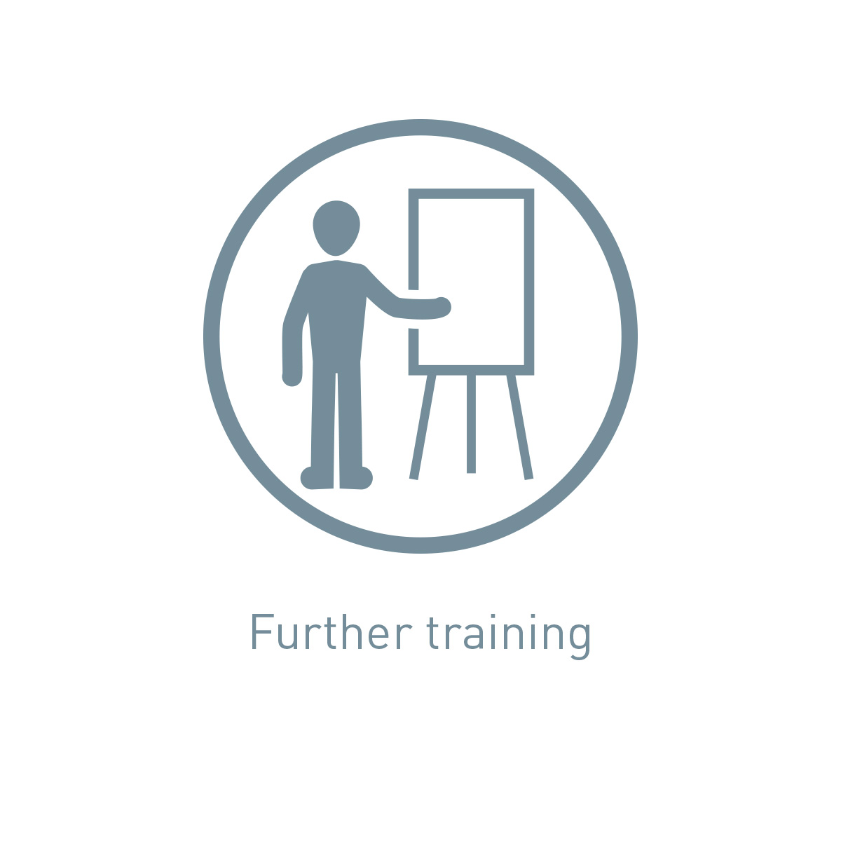 Icon further training